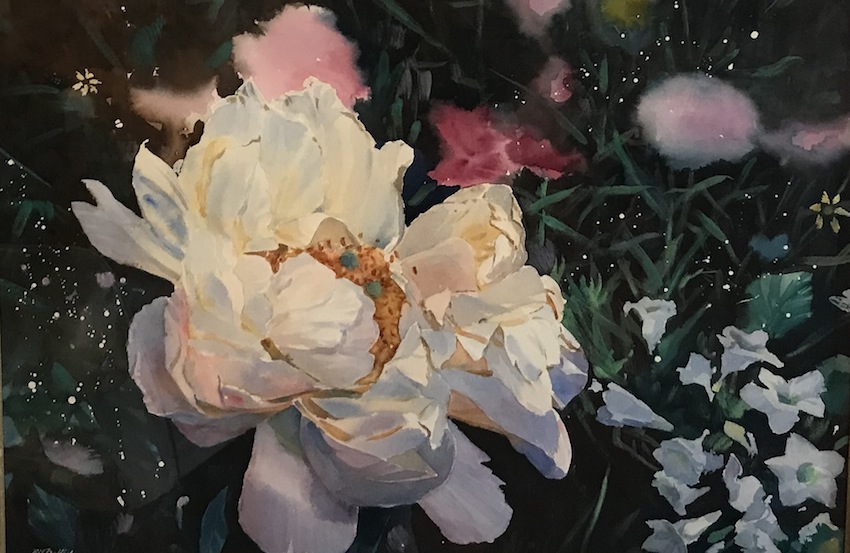 Richard Bolton |Peony| watecolour | McAtamney Gallery and Design Store | Geraldine NZ